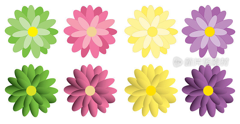 Vector illustration collection of daisy style flowers in four colors
